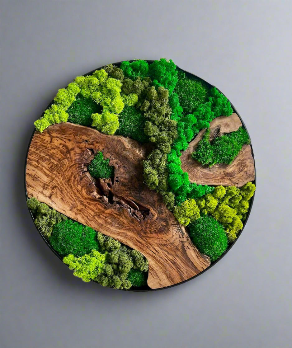 Naturens fraktaler - håndlaget veggkunst av mose