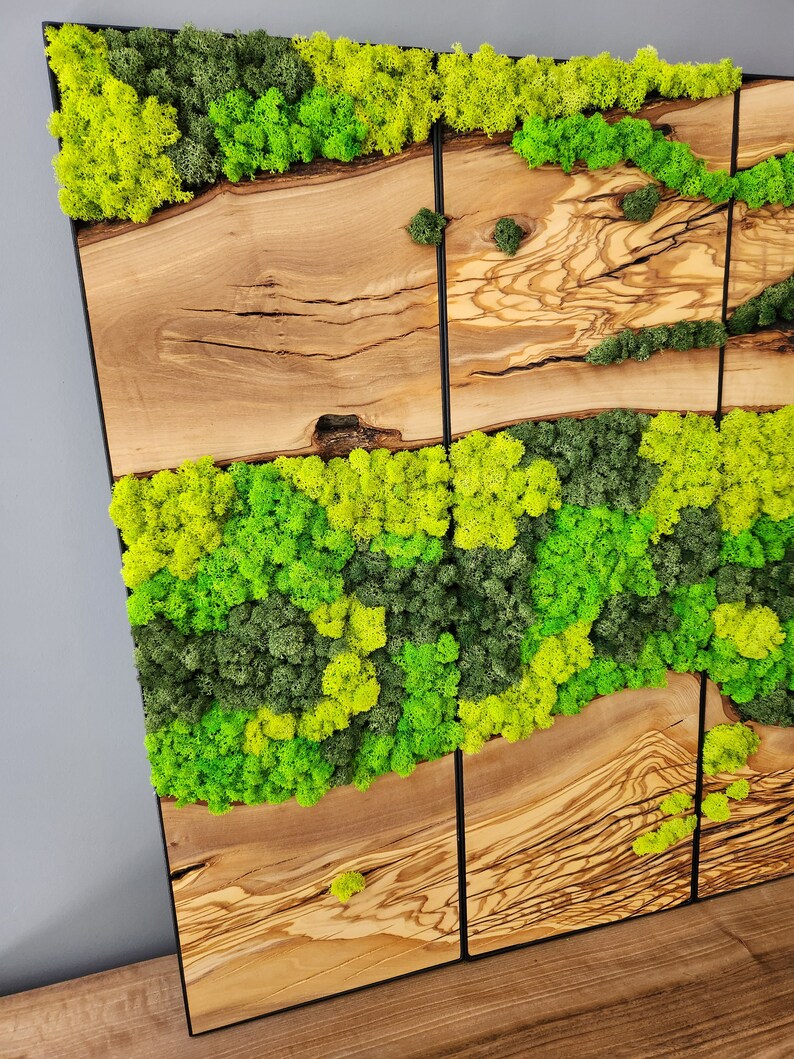 The Velvet Forest - custom moss art panel