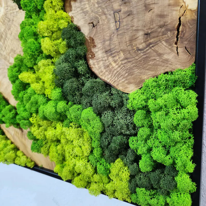 Botanisk stillhet - håndlaget veggkunst av mose med oliventre