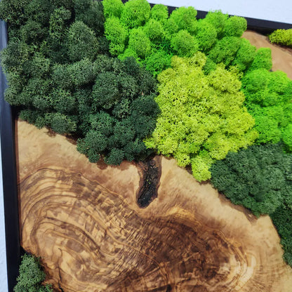 Botanisk stillhet - håndlaget veggkunst av mose med oliventre