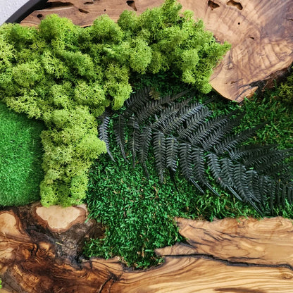 Det levende lerretet - håndlaget veggkunst av naturlig mose