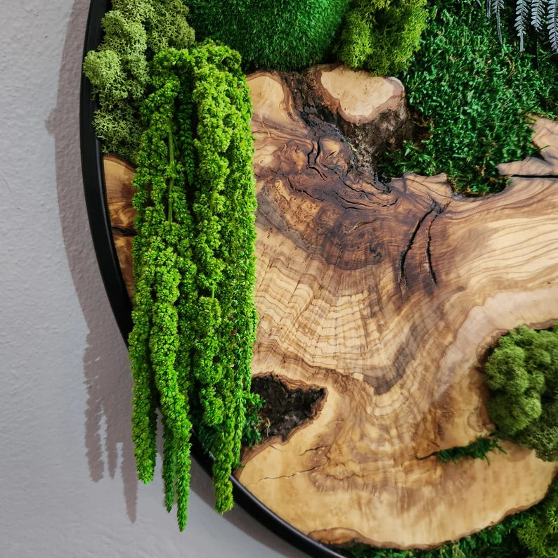 Det levende lerretet - håndlaget veggkunst av naturlig mose